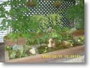 ground deck127.JPG